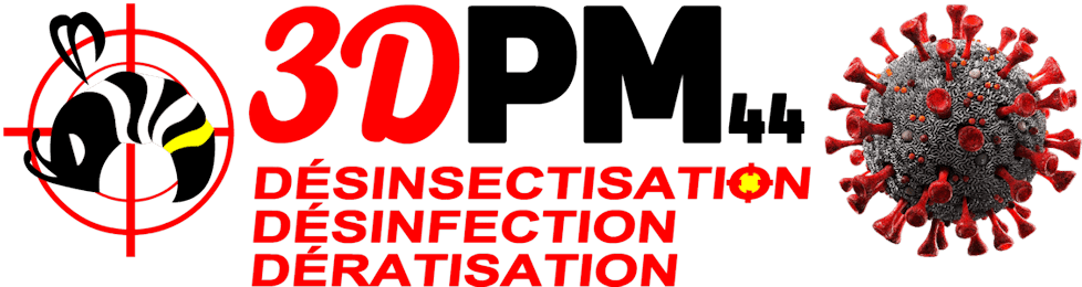 3DPM44