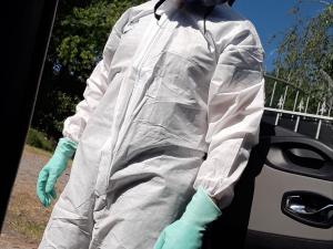 ALERTE AU MOUSTIQUE TIGRE EN L.A 44
