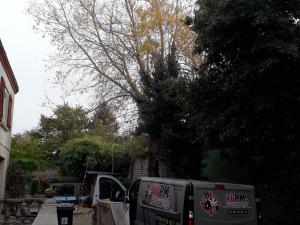 �norme nid de frelons asiatiques � 20m Sainte Marie sur Mer
